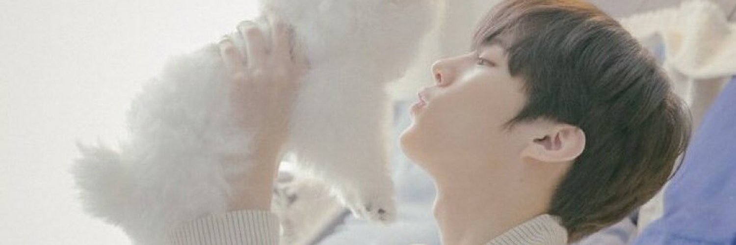 위드's banner