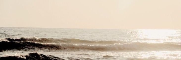 beya ⚖️'s banner