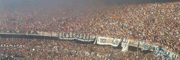 GALO's banner