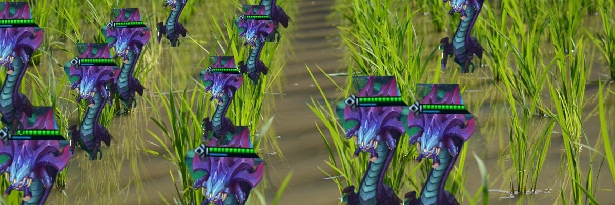 白井御米's banner