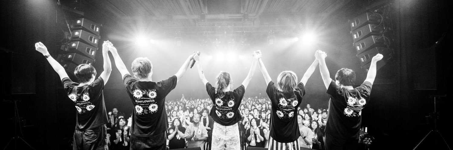 宮澤佐江's banner