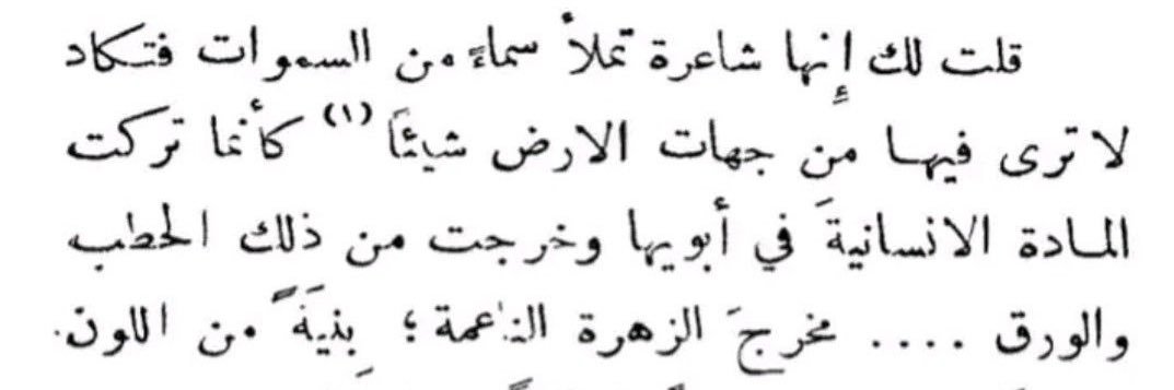 «أناة القِط ووثوْب الأسد»'s banner