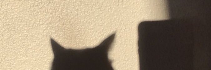 𝒄𝒐𝒐𝒑's banner