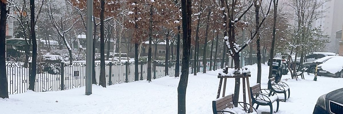 HAZEM🇨🇦 🏹's banner