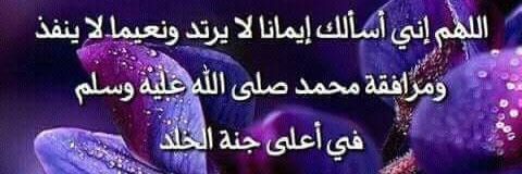 🦋Mahienour🦋's banner