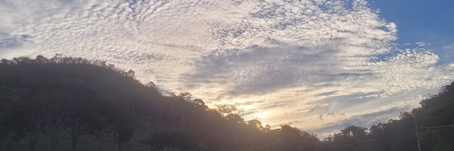 📈Brazilian Poker 🐆's banner