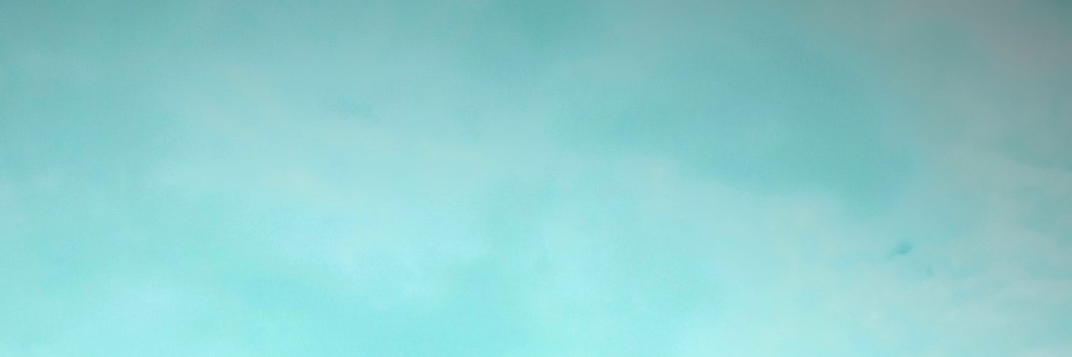 Ana's banner