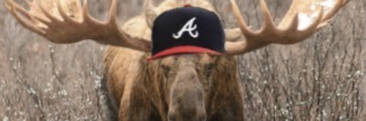 Moose's banner