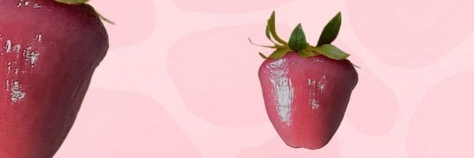 PigSize_btm's banner
