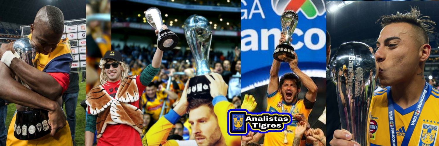 Analistas Tigres's banner
