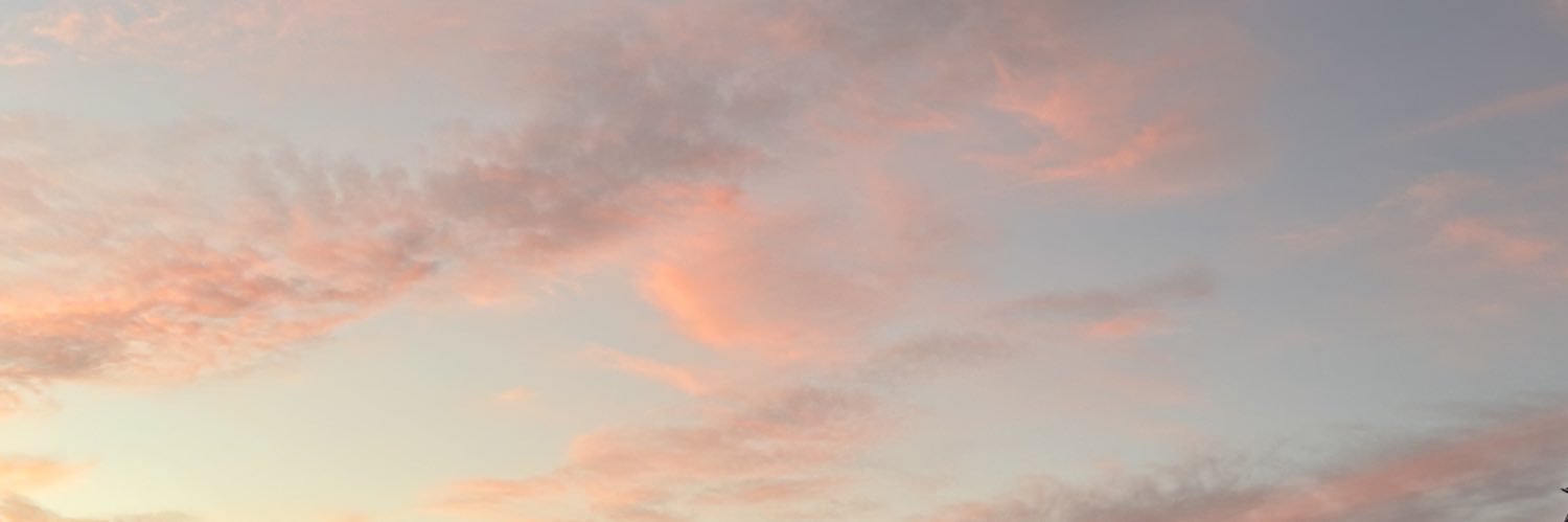 石原さき's banner