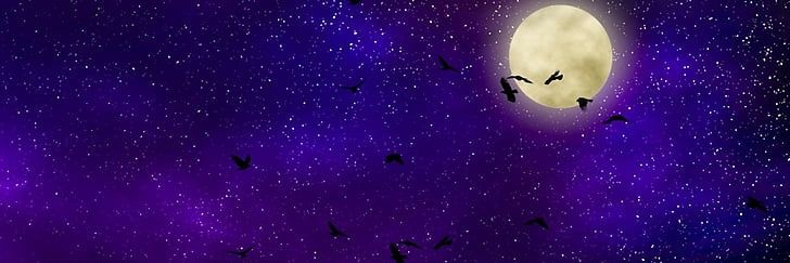ℭ𝔯𝔶𝔰𝔱𝔞𝔩 𝔖𝔢𝔫𝔭𝔞𝔦's banner