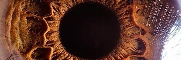tiramisu's banner