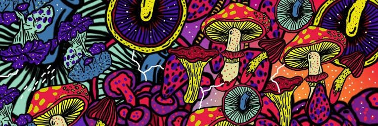 Mais Ácido 🍄's banner