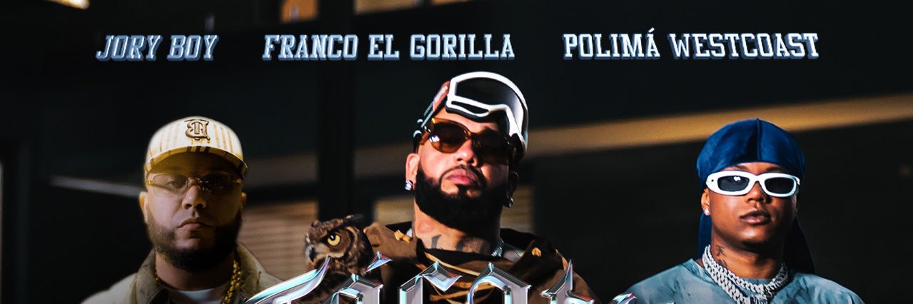 FRANCO EL GORILA's banner