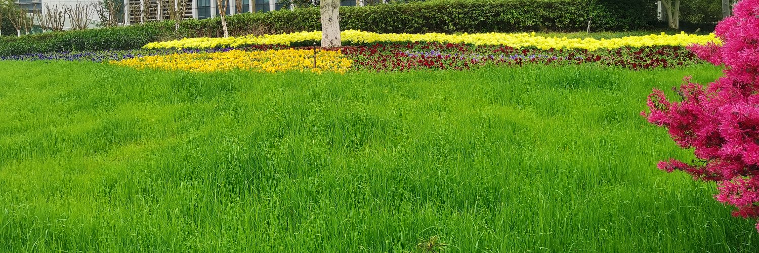 夏洛🇨🇳's banner