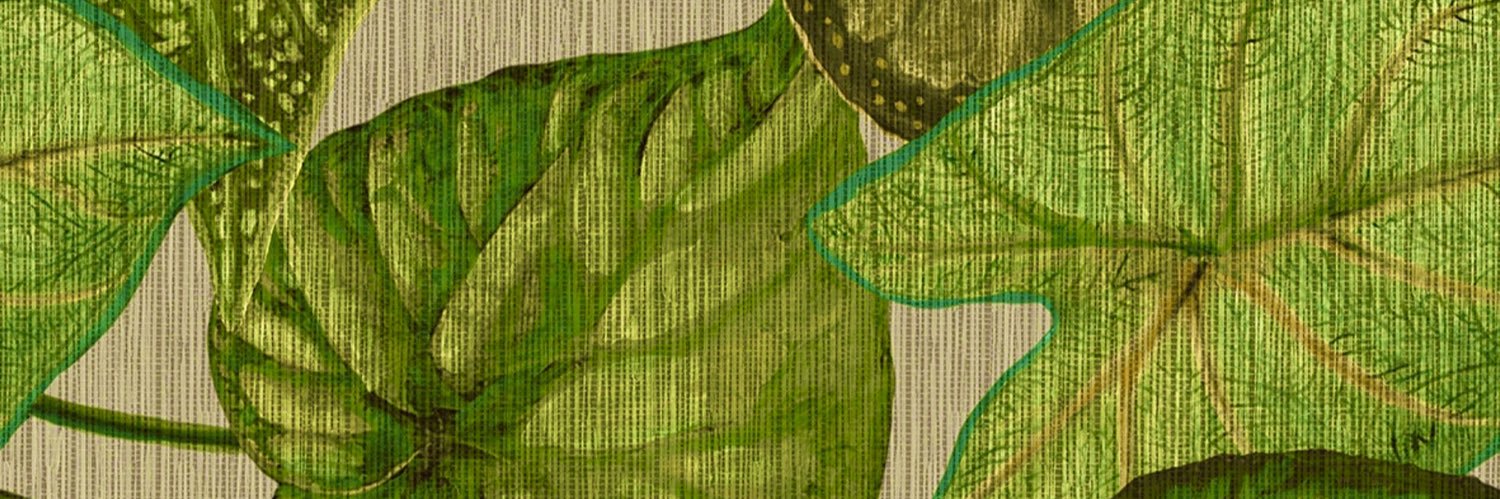 eden 🌿's banner