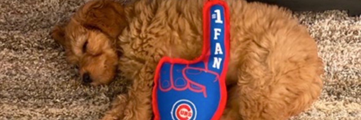 Melissa's banner