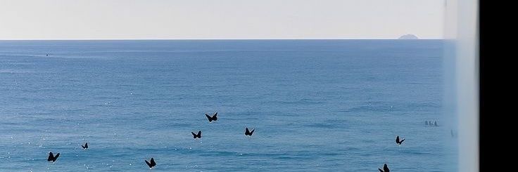 بحر's banner