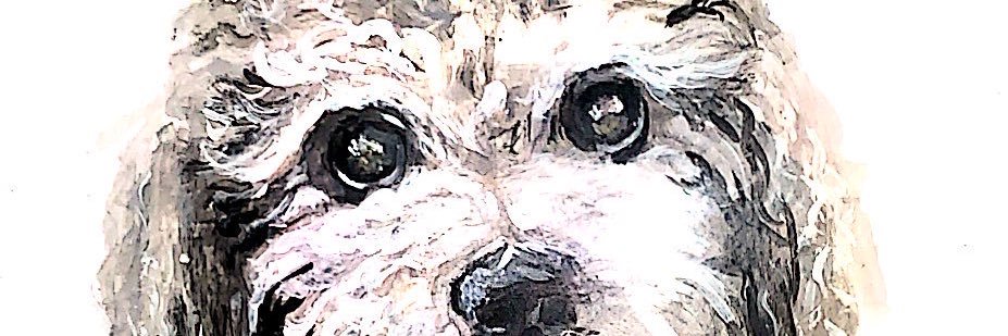Soy Vete 🐶🐱's banner