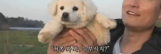 챱's banner