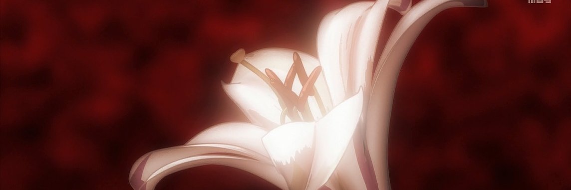カピバラ×アルパカ＝アルバラ5🦙🦙🦙🦙🦙's banner