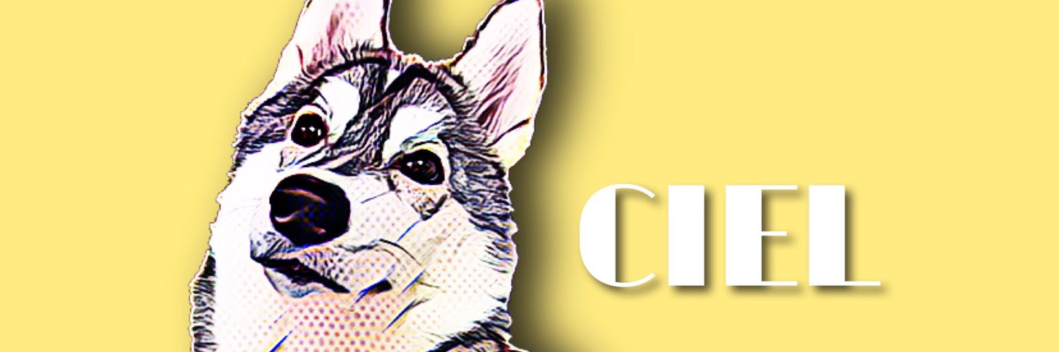 シエル🌈シベリアンハスキー's banner