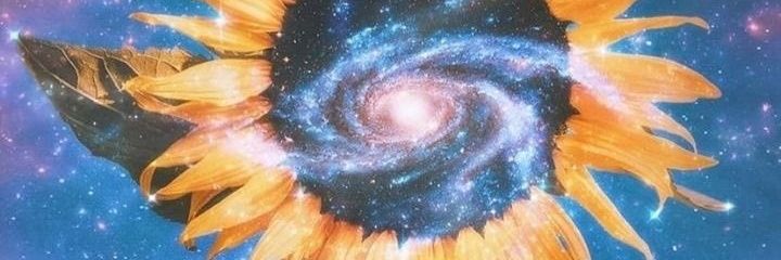 ⱭƖҽx Ríօs's banner