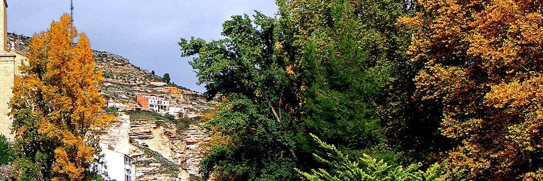 Ροδρίγεζ🌾's banner