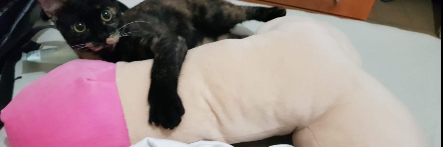 אומצי בומצי's banner