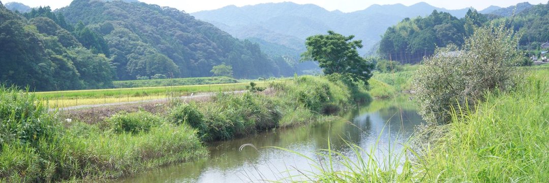 高知県宿毛市の米農家 シルク米's banner