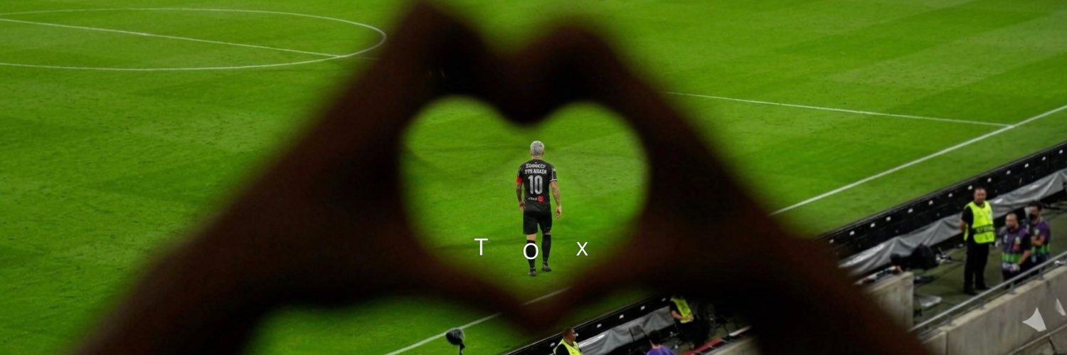 T O X's banner