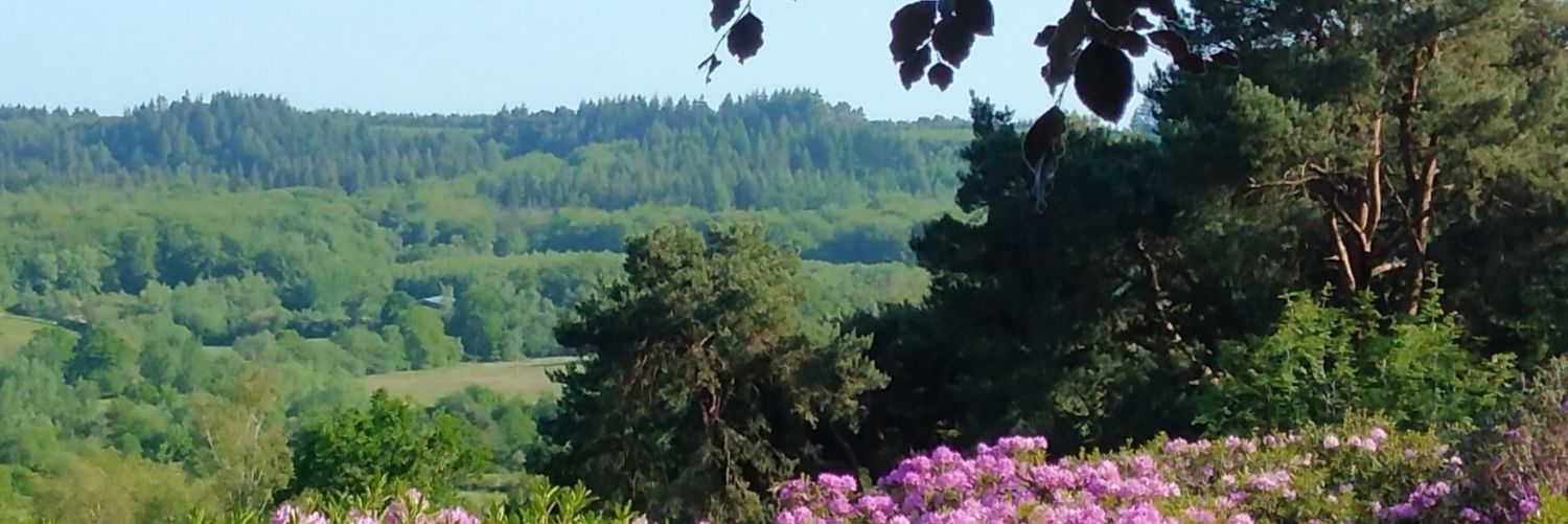 💞🌲💞 Lorraine 💞🌲💞💞's banner
