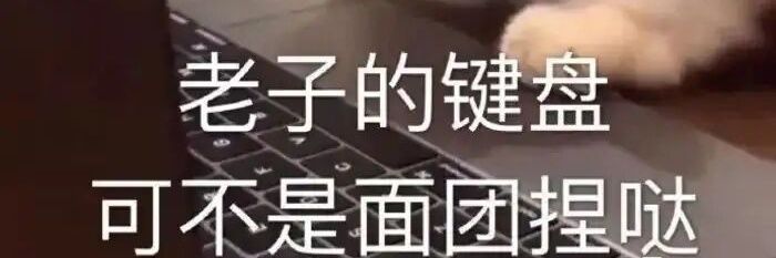 六六在发疯's banner