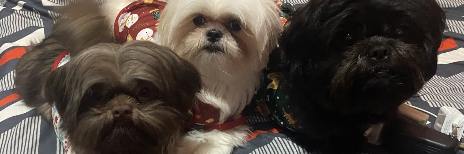 Angelo Añonuevo Go's banner