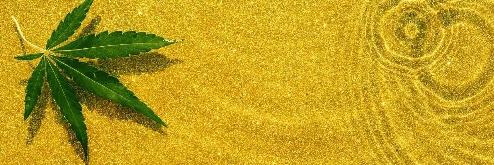La Reina de Humo's banner