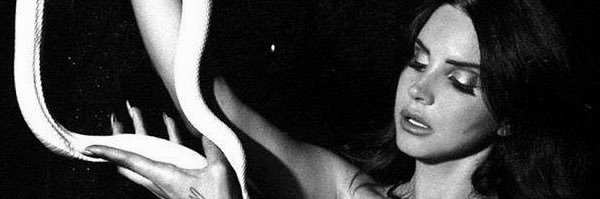 logan 🩻's banner