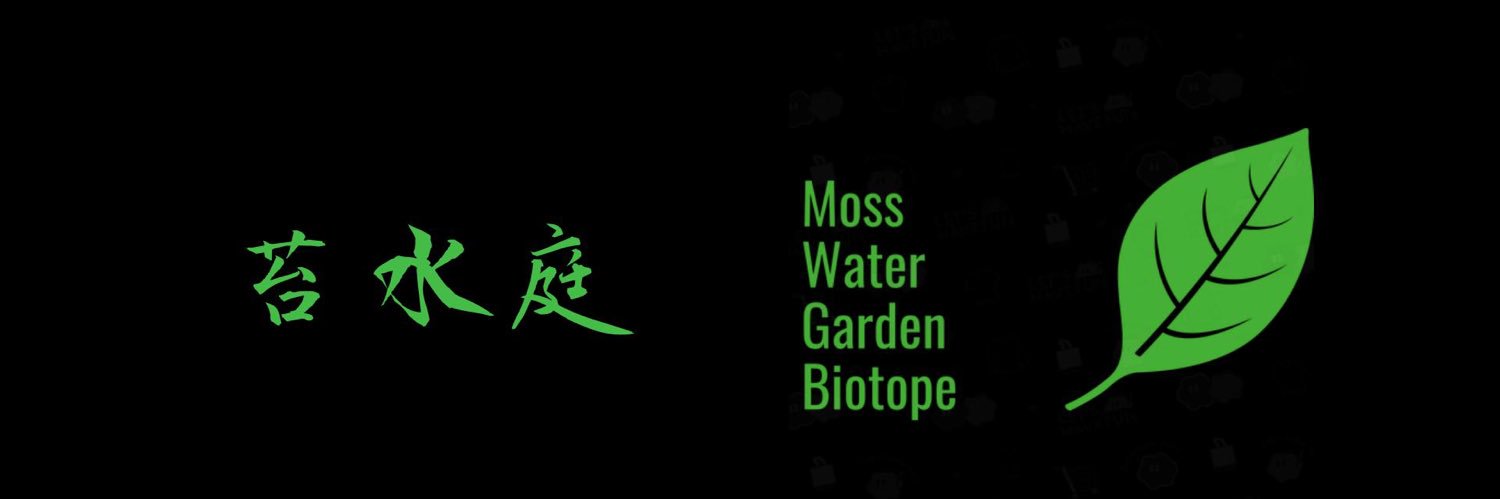 苔水庭's banner