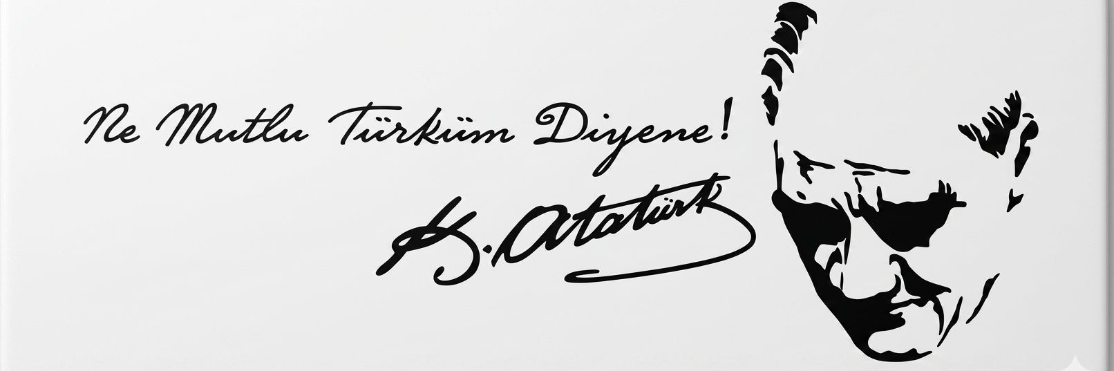 Didem Yavuzyılmaz's banner
