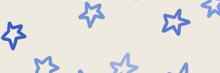 zara's banner