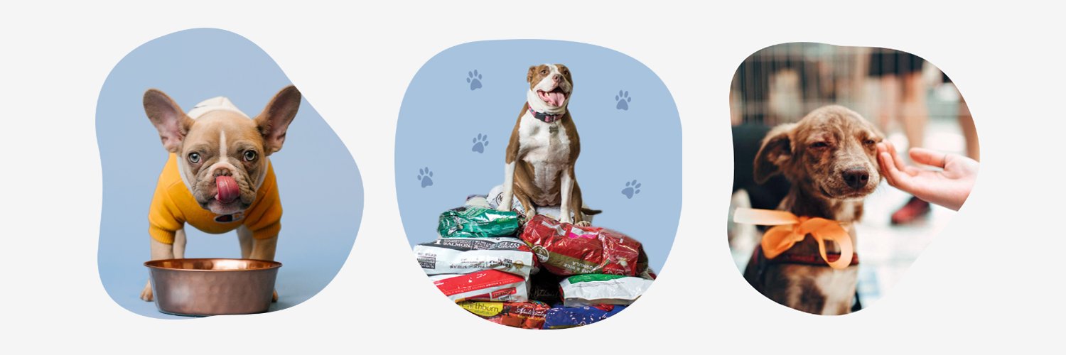 DogDog's banner