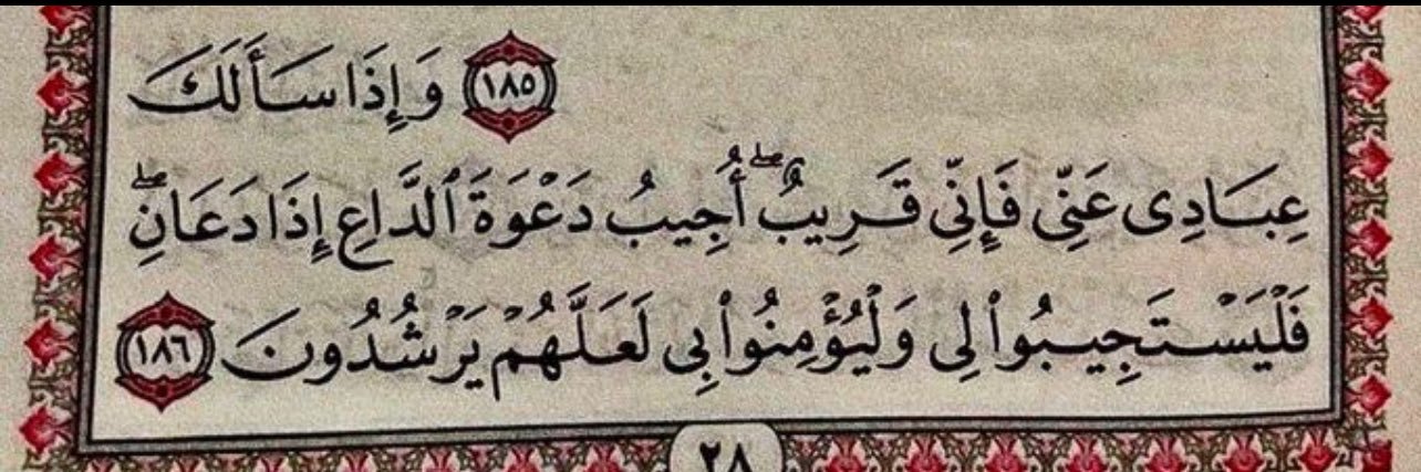 وَابِـل .'s banner