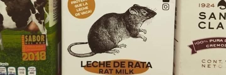ErikRatboy🐀's banner