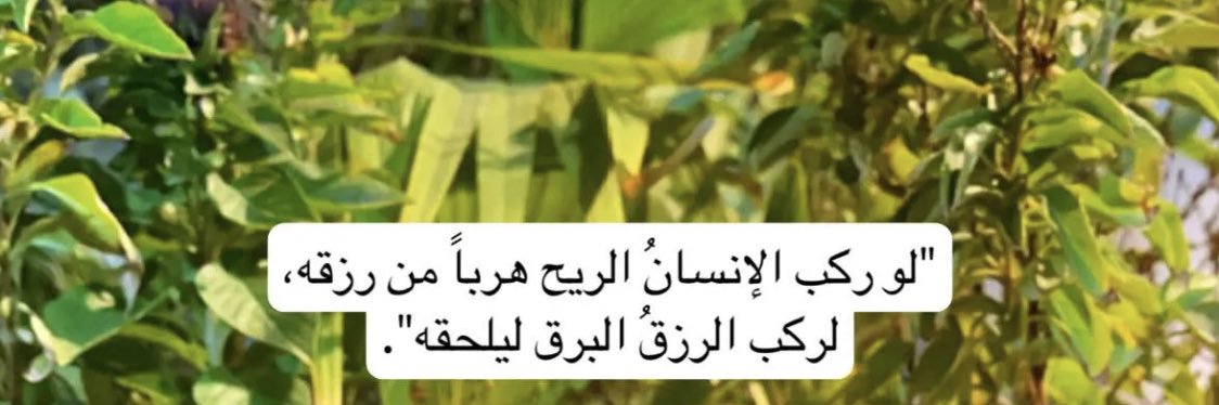 Al-Qassimi's banner