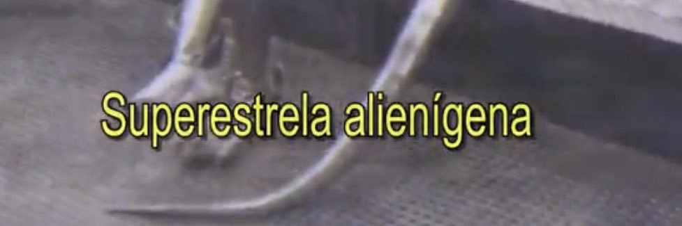 ACRÍLICA NEWS's banner
