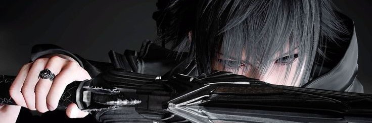 luna's banner