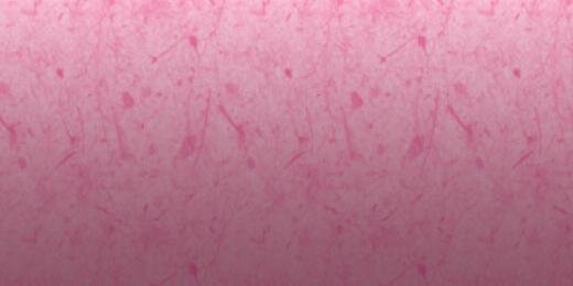 Elizabeth Berkley's banner