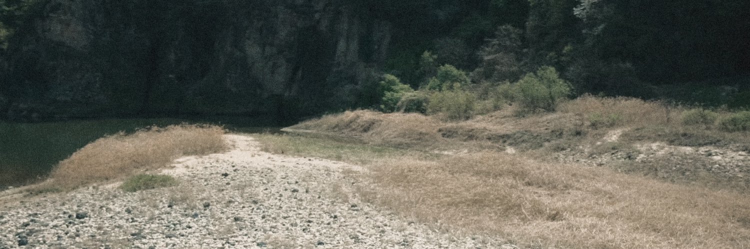 mel 🪾ᴛʀ.ᴇᴇ 🍂's banner