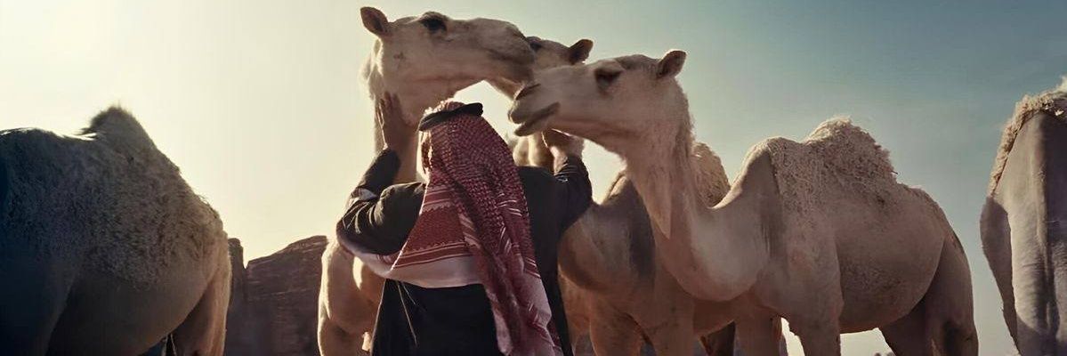 آيلا || Ayla's banner