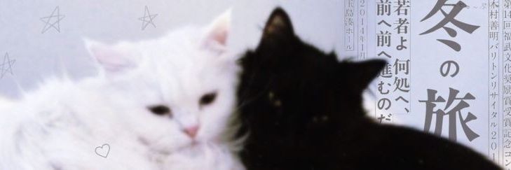 🐱's banner